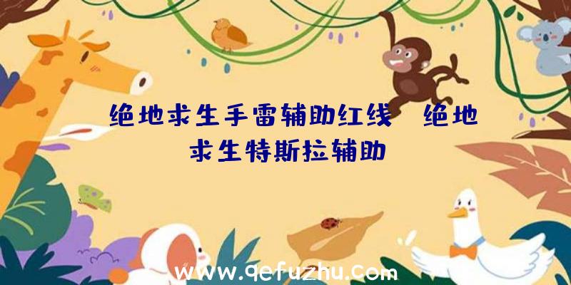 「绝地求生手雷辅助红线」|绝地求生特斯拉辅助